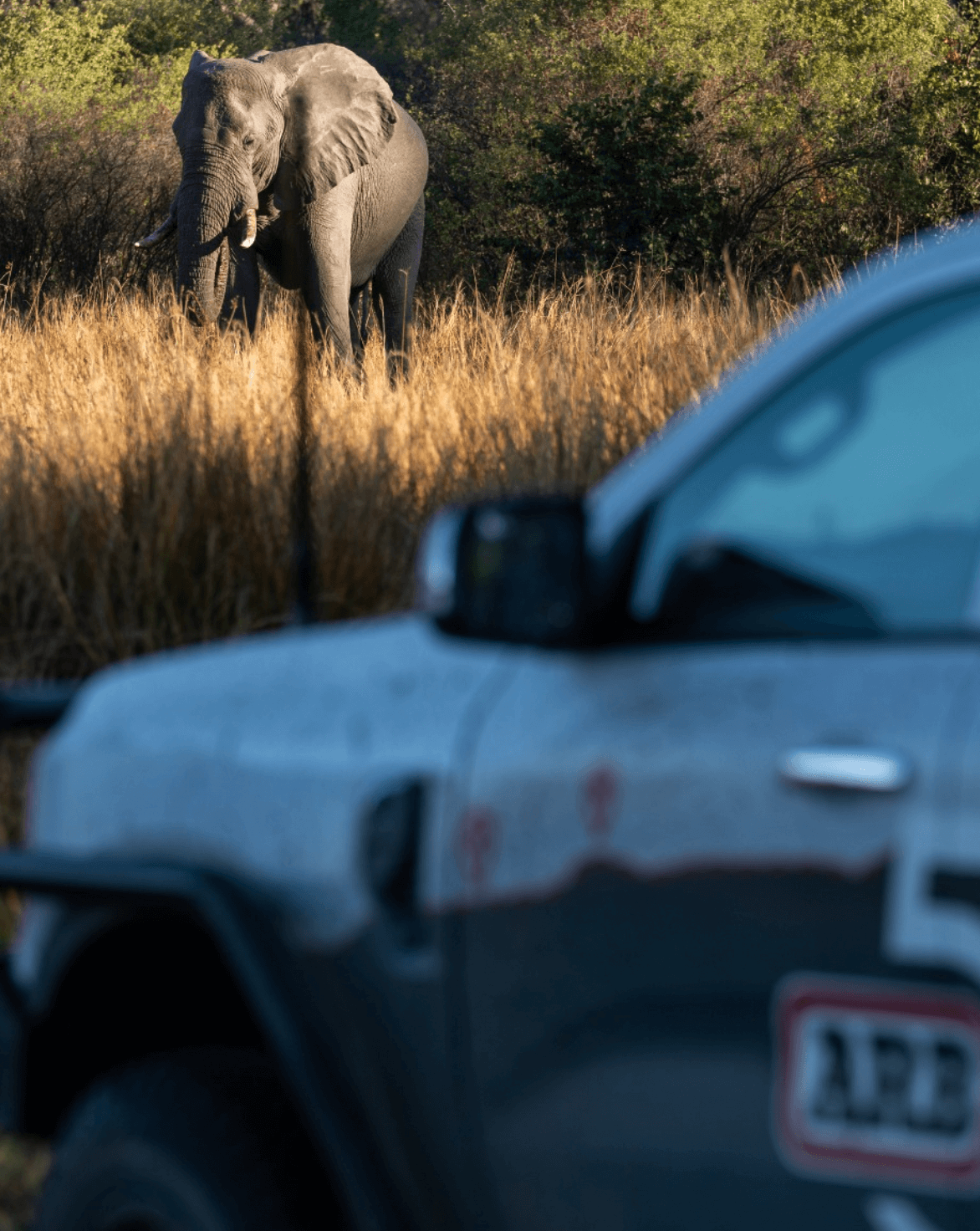 ARB Simpson III Rooftop Tent W/ Annex - Overland Odyssey