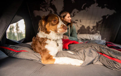 iKamper Skycamp 3.0 Mini